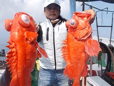 アコウ釣り
