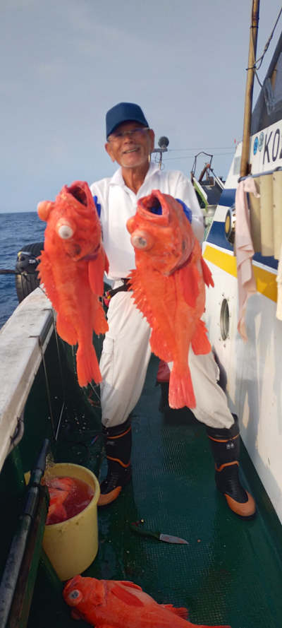 アコウ釣り
