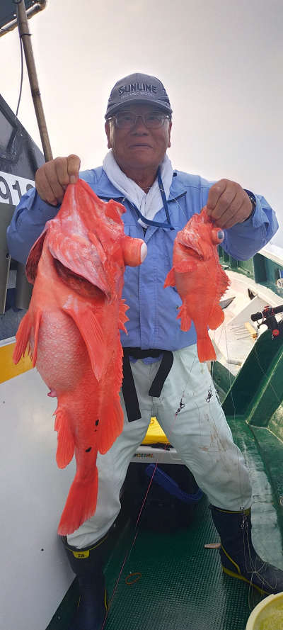アコウ釣り