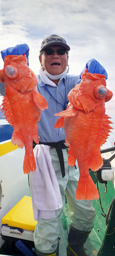 アコウ釣り