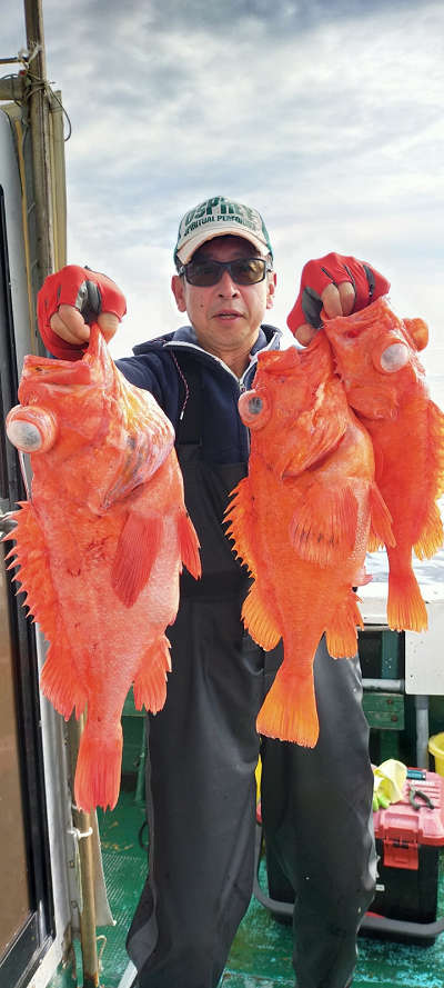 アコウ釣り