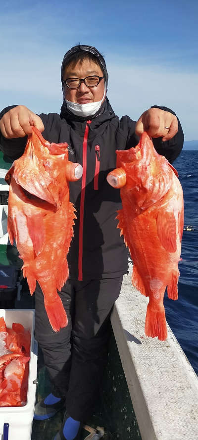 アコウ