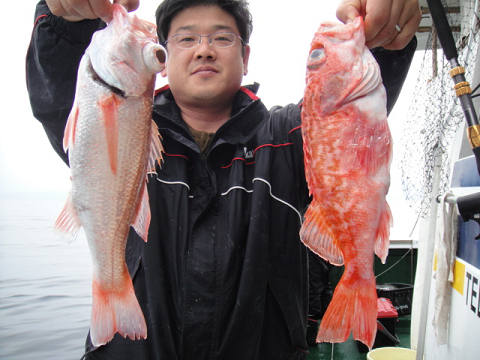 [Cނ
