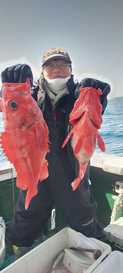 アコウ