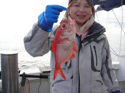 [Cނ