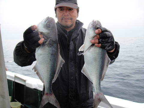 [Cނ