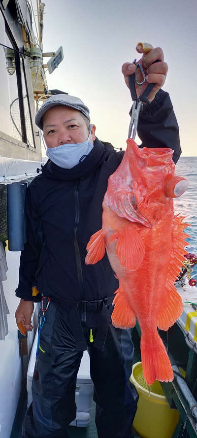 アコウ