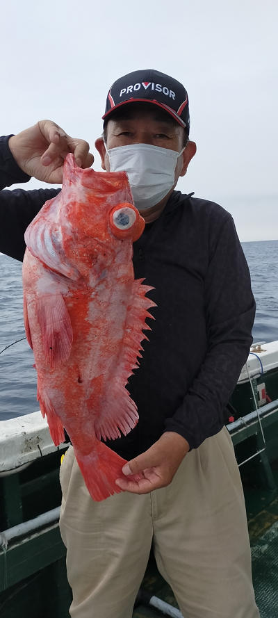 アコウ