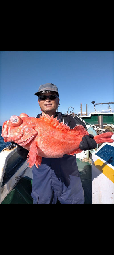 アコウ