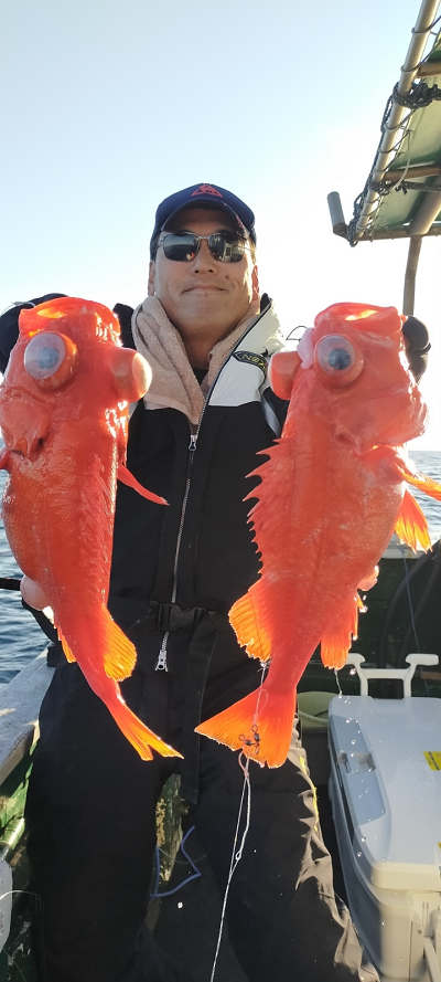 アコウ