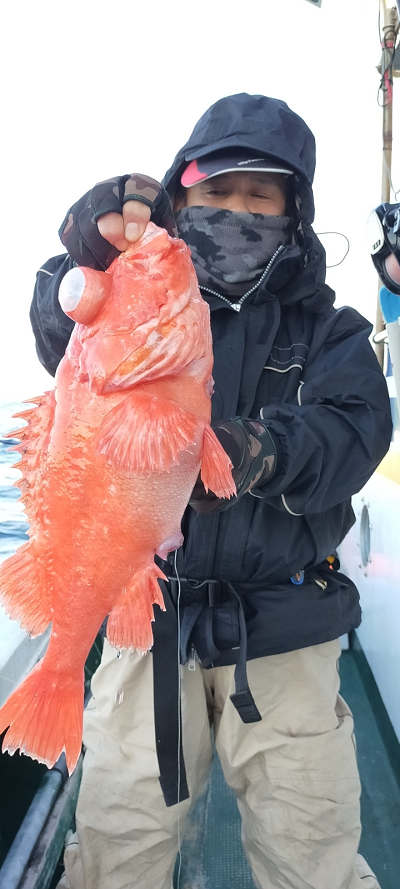 アコウ