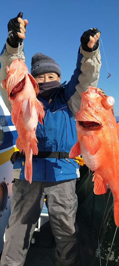 アコウ