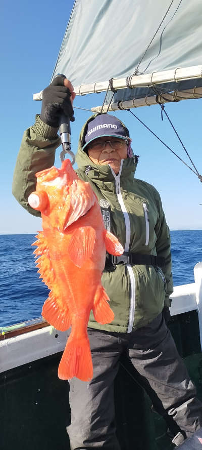 アコウ