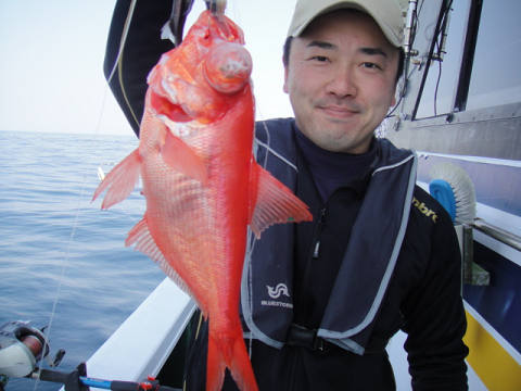 [Cނ