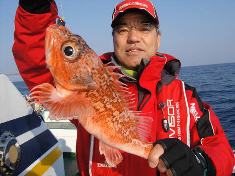 [Cނ