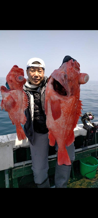 アコウ