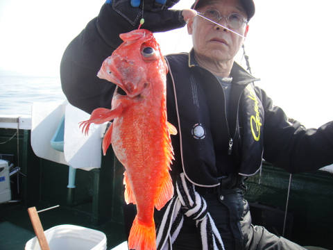 [Cނ