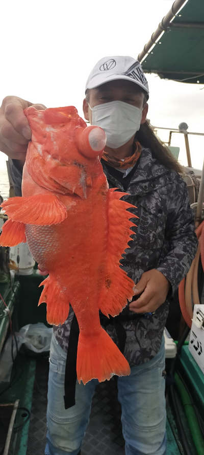 アコウ