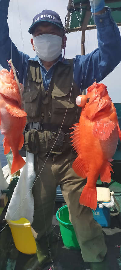 アコウ