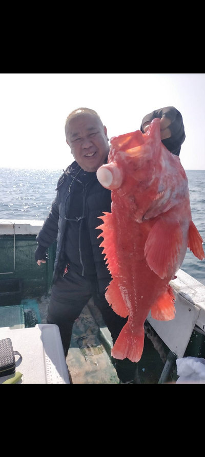 アコウ