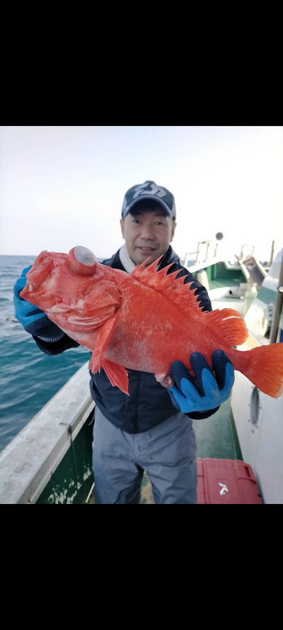 アコウ