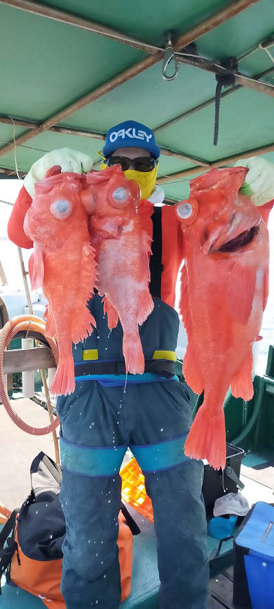 アコウ