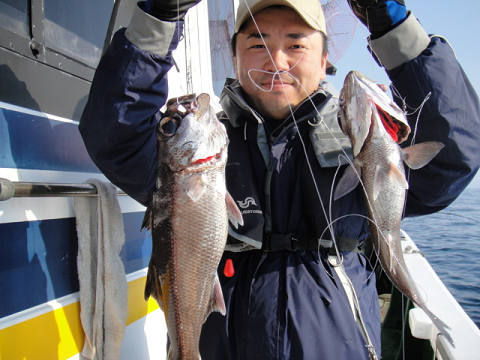 [Cނ