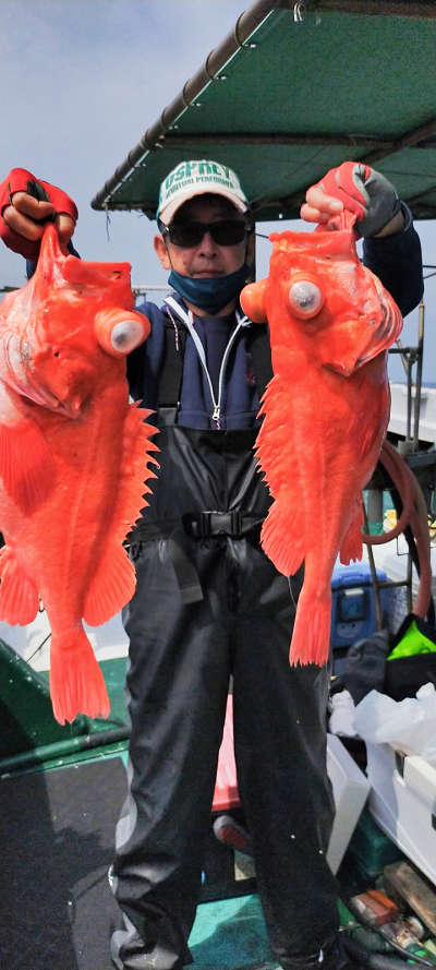 アコウ