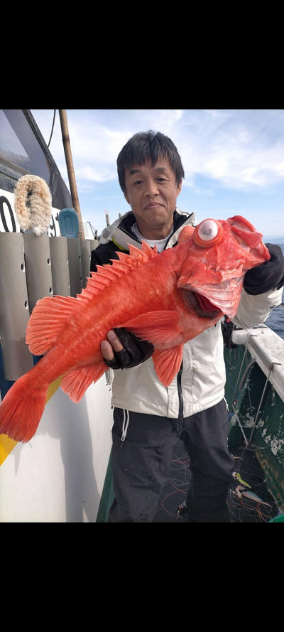 アコウ