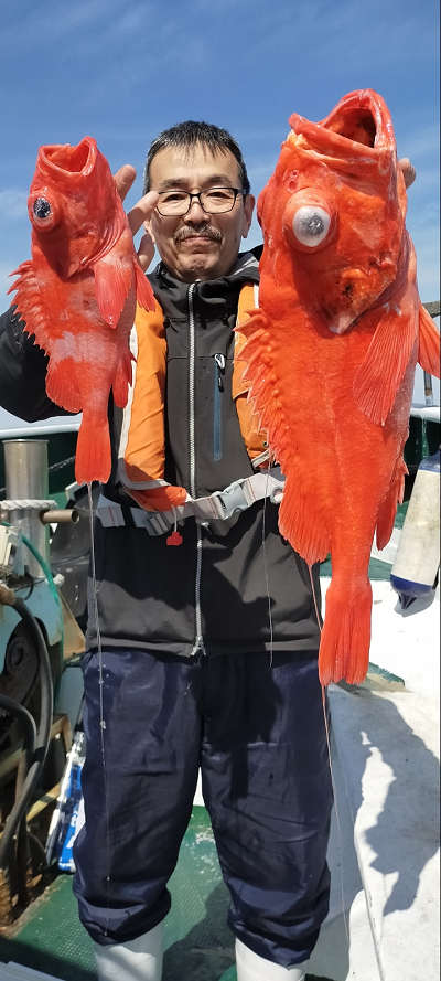 アコウ