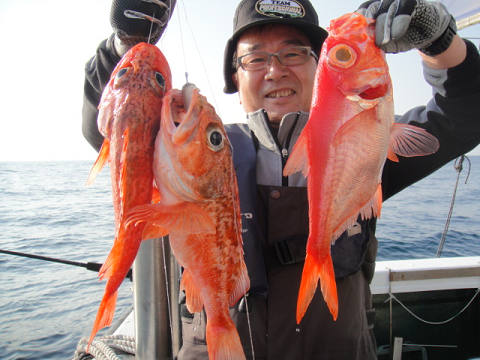 [Cނ