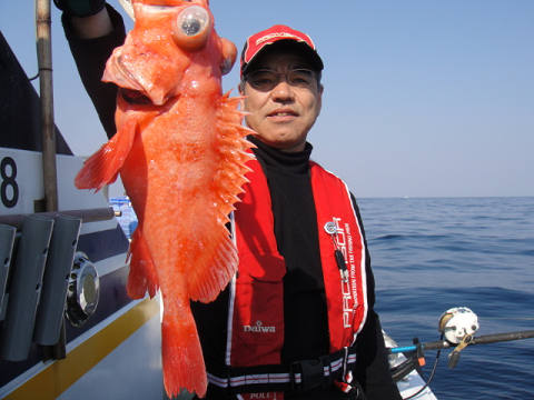 [Cނ