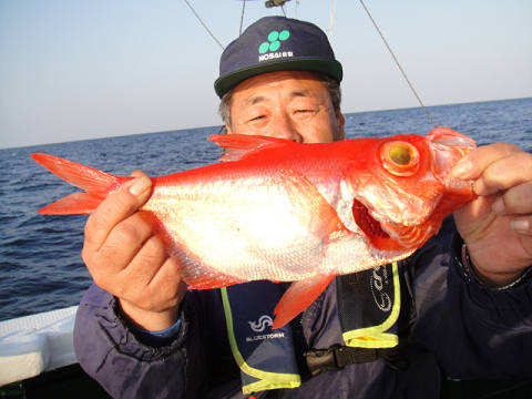 [Cނ