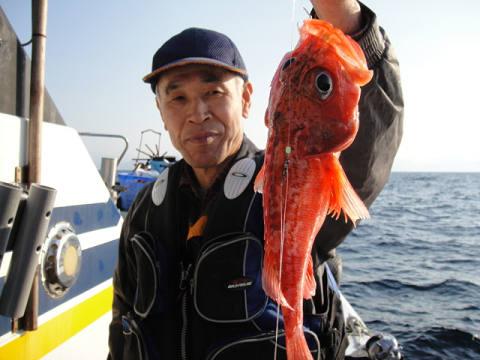 [Cނ