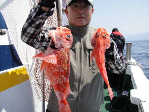 [Cނ