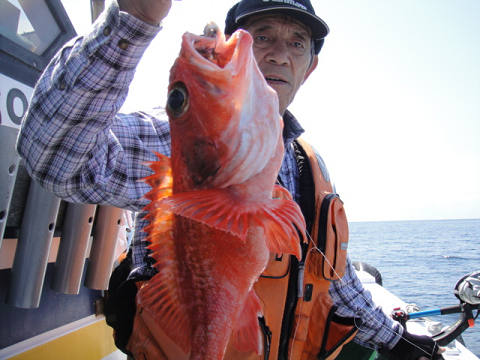 [Cނ