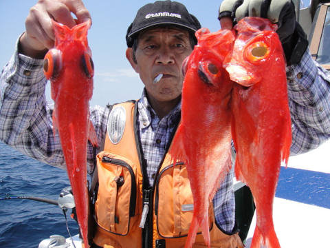 [Cނ