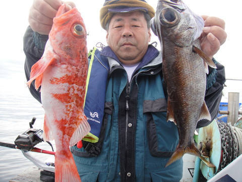 [Cނ
