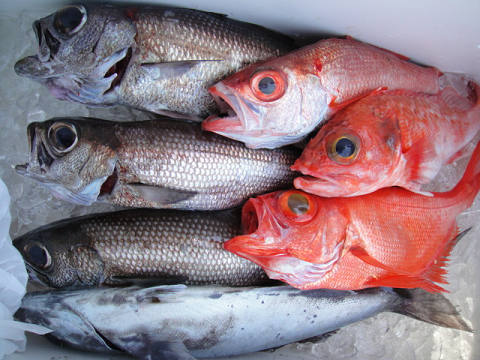[Cނ
