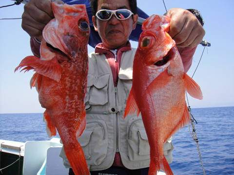 [Cނ