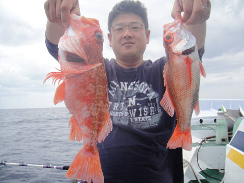 [Cނ