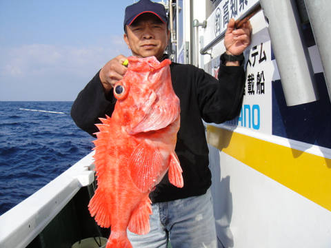 [Cނ